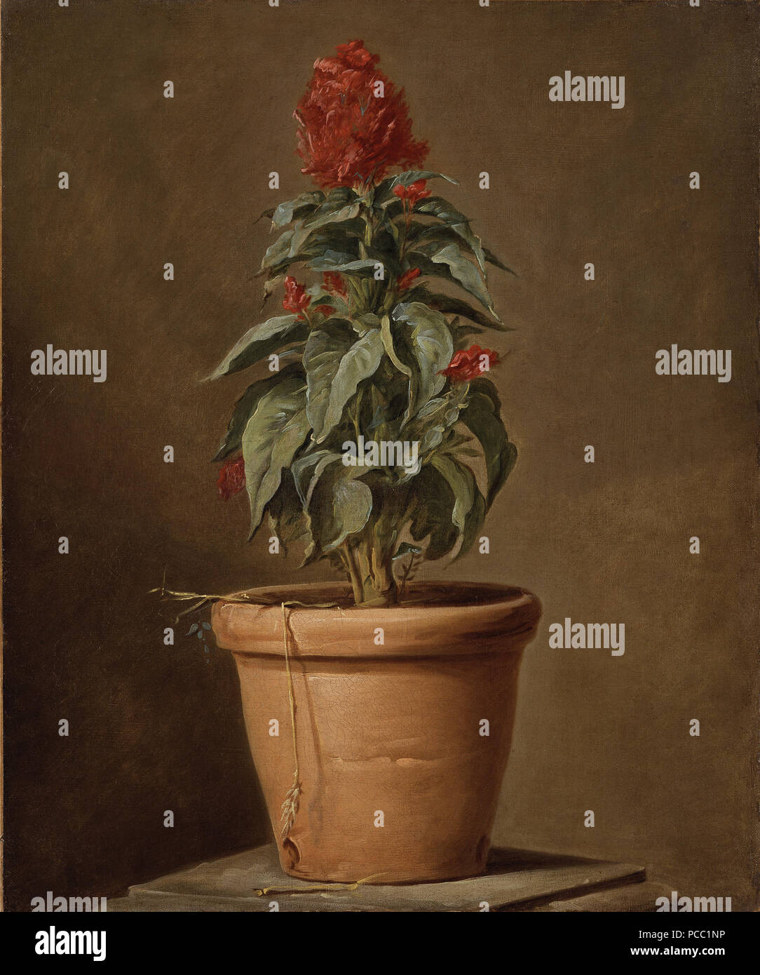 3 una pianta in vaso (Henri Horace Roland de la Porte) - Nationalmuseum - 22481 Foto Stock