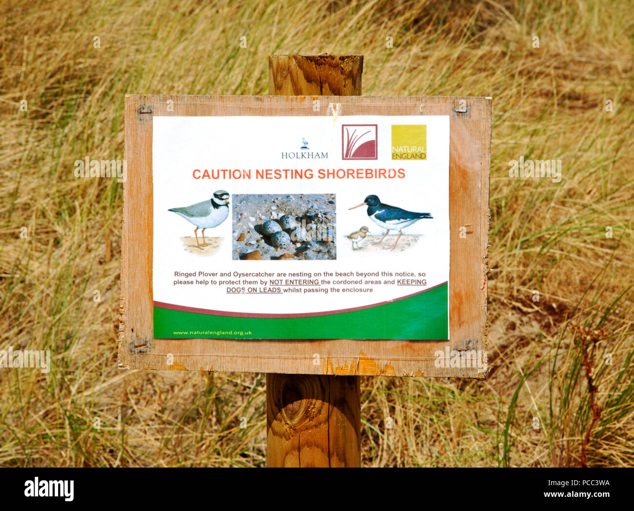 Un avviso per i visitatori di procedere con cautela e di essere a conoscenza di nidificazione di uccelli costieri a Burnham Overy Staithe, vicino Holkham, Norfolk, Inghilterra, Regno Unito, Europa. Foto Stock