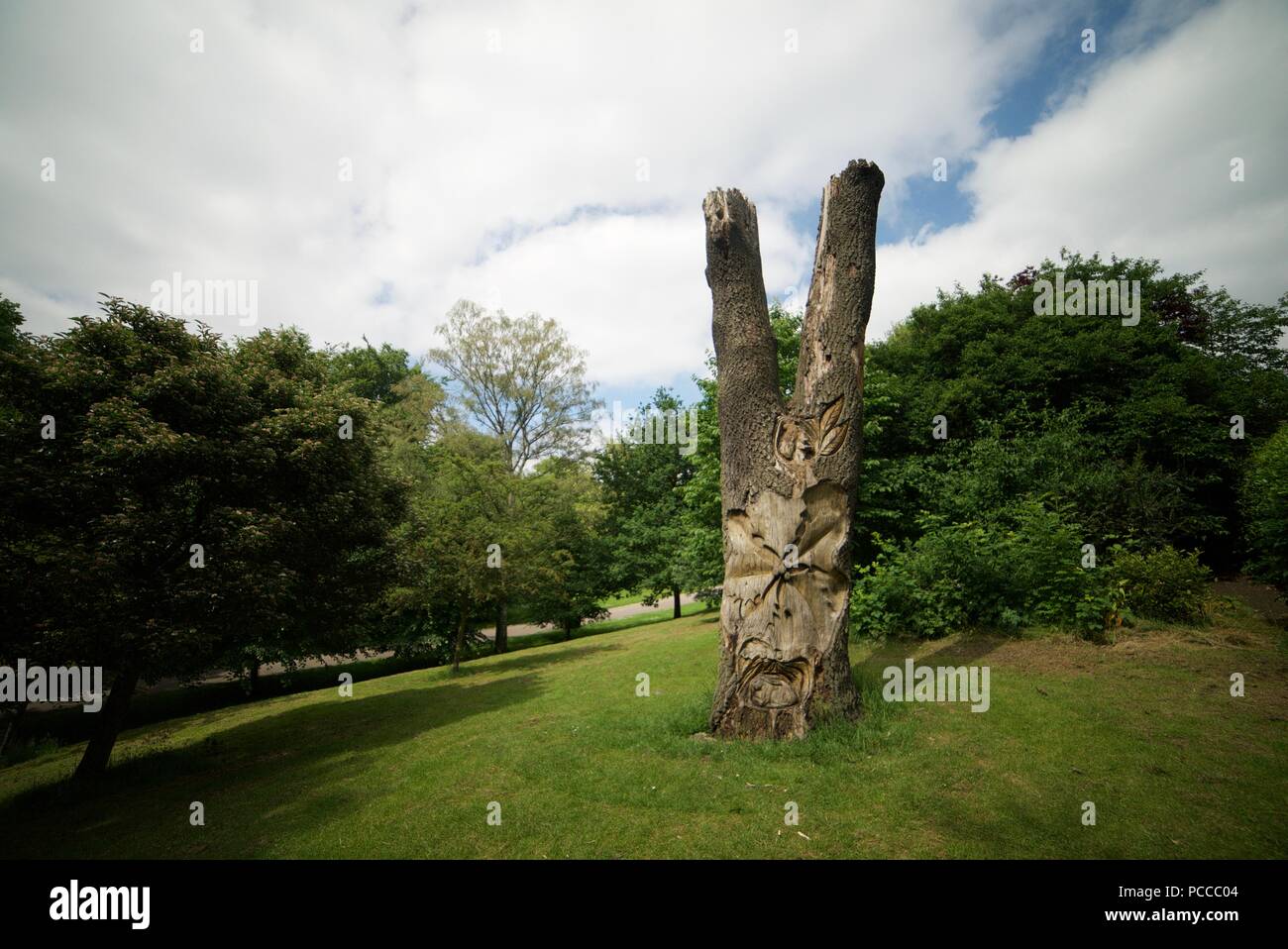 Scavate albero nella forma di due dita a Nottingham Arboretum (albero nella forma di due bloccato fino le dita) (albero incisioni e sculture) Foto Stock