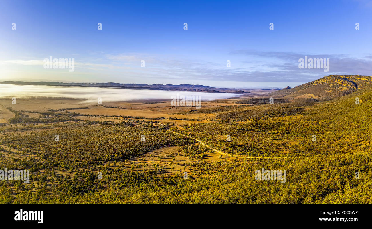 Outback australiano paesaggio all'alba - Flinders Ranges, Sud Australia Foto Stock