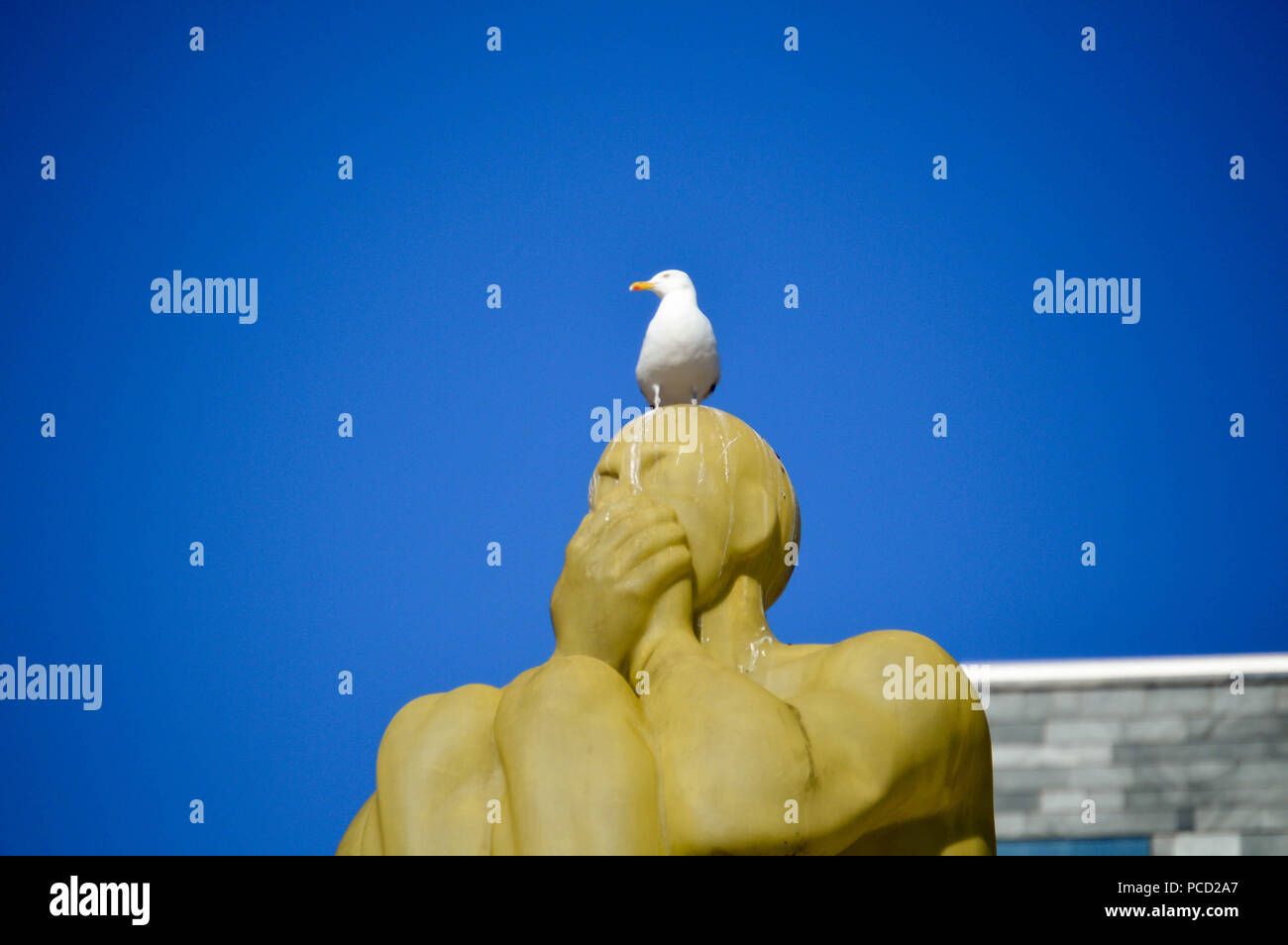 Seagull in appoggio su un uomo muto monumento a Gothenburg, Svezia. Foto Stock