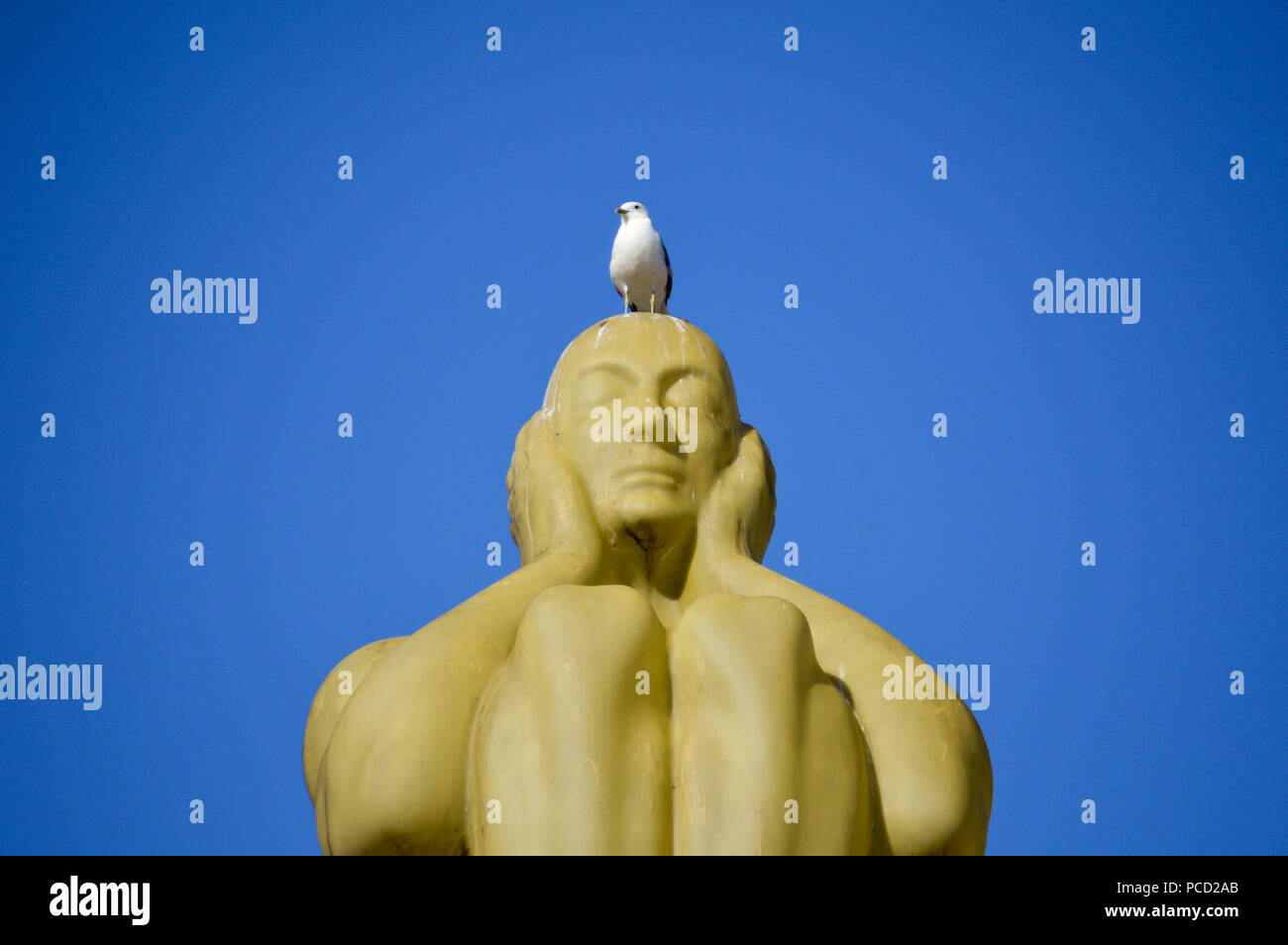 Seagull appoggiato ona un sordo un monumento a Gothenburg, Svezia. Foto Stock