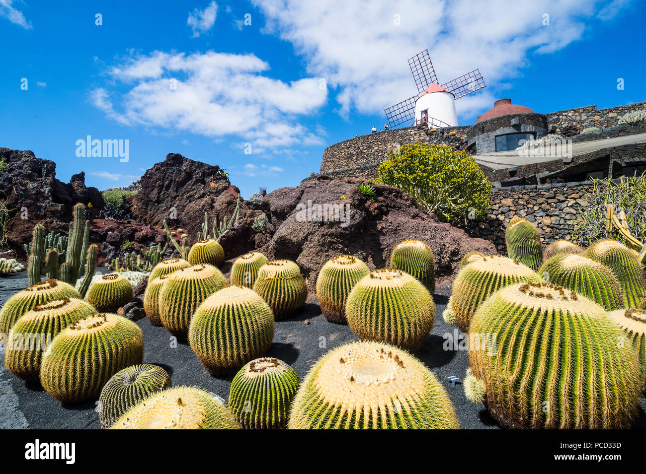 Jardin de Cactus (giardino di cactus) Cesar Manrique, Lanzarote, Isole Canarie, Spagna, Atlantico, Europa Foto Stock