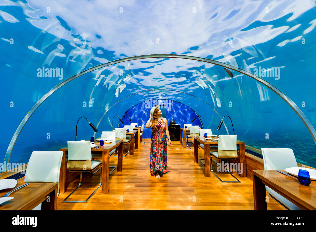 Viste dal Ithaa il ristorante sottomarino al Conrad Maldive, Maldive, Oceano Indiano, Asia Foto Stock