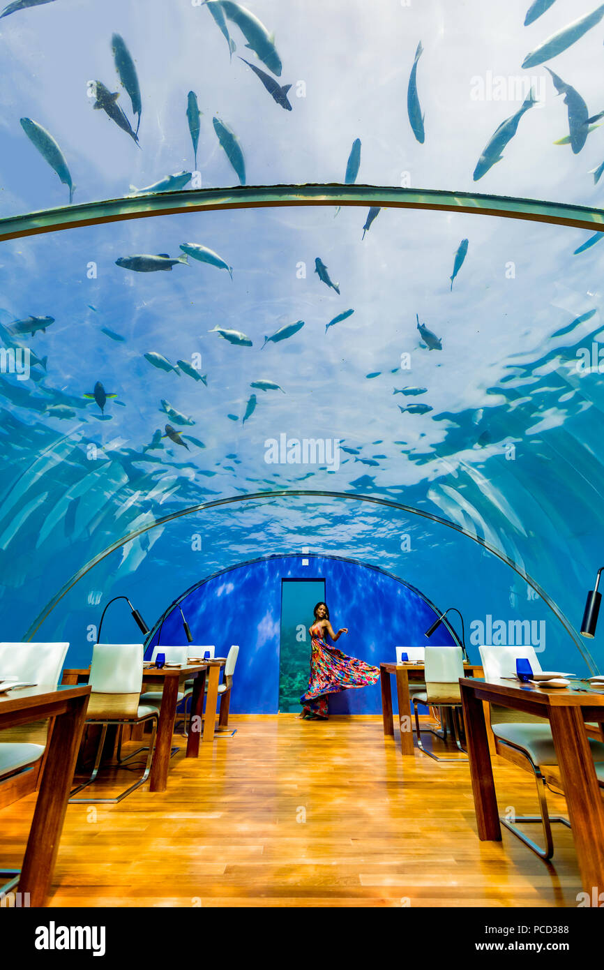 Viste dal Ithaa il ristorante sottomarino al Conrad Maldive, Maldive, Oceano Indiano, Asia Foto Stock