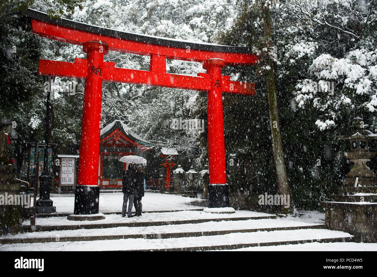 La neve che cade su di Fushimi Inari shrine, Kyoto, Giappone, Asia Foto Stock