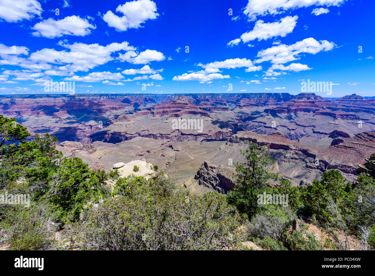 Yaki Point a bordo sud del Parco Nazionale del Grand Canyon, Arizona, Stati Uniti d'America Foto Stock