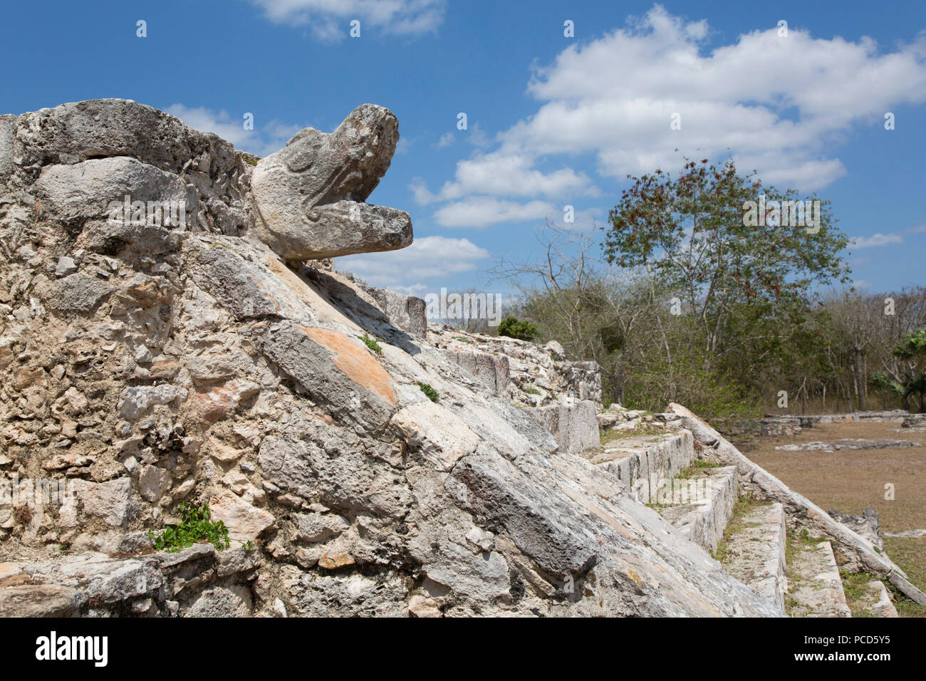 Testa di serpente, il Tempio dei Guerrieri, rovine Maya, Mayapan sito archeologico, Yucatan, Messico, America del Nord Foto Stock