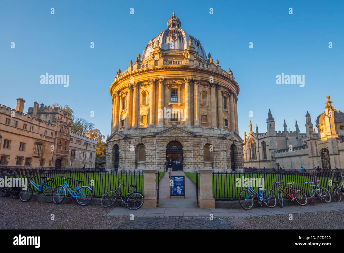 Radcliffe Camera, Università di Oxford, Oxford, Oxfordshire, England, Regno Unito, Europa Foto Stock