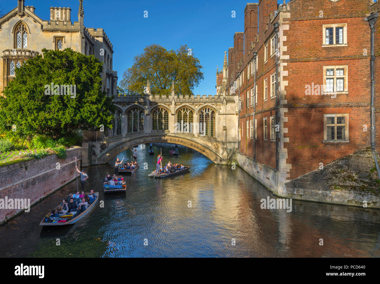 Punting sul fiume Cam, St. John's College, il Ponte dei Sospiri, Cambridge, Cambridgeshire, England, Regno Unito, Europa Foto Stock