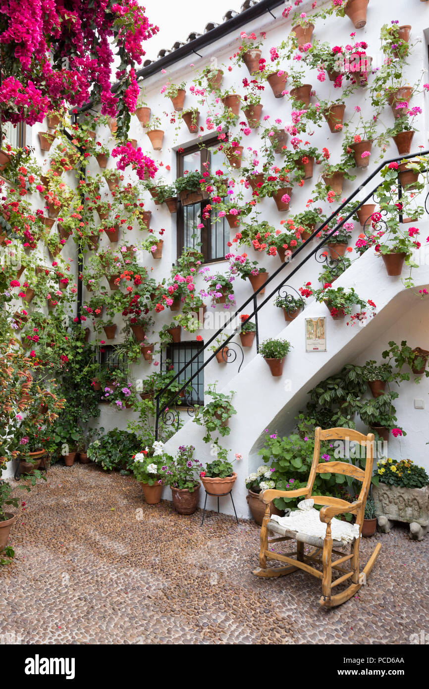 Display a colori dei fiori al Festival di patio, Cordoba, Andalusia, Spagna, Europa Foto Stock