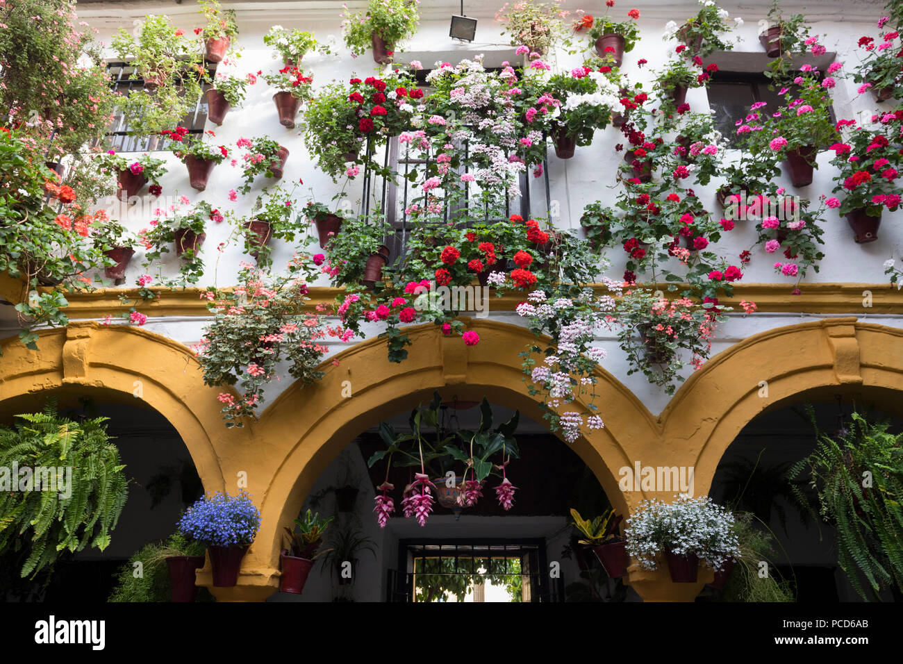 Display a colori dei fiori al Festival di patio, Cordoba, Andalusia, Spagna, Europa Foto Stock