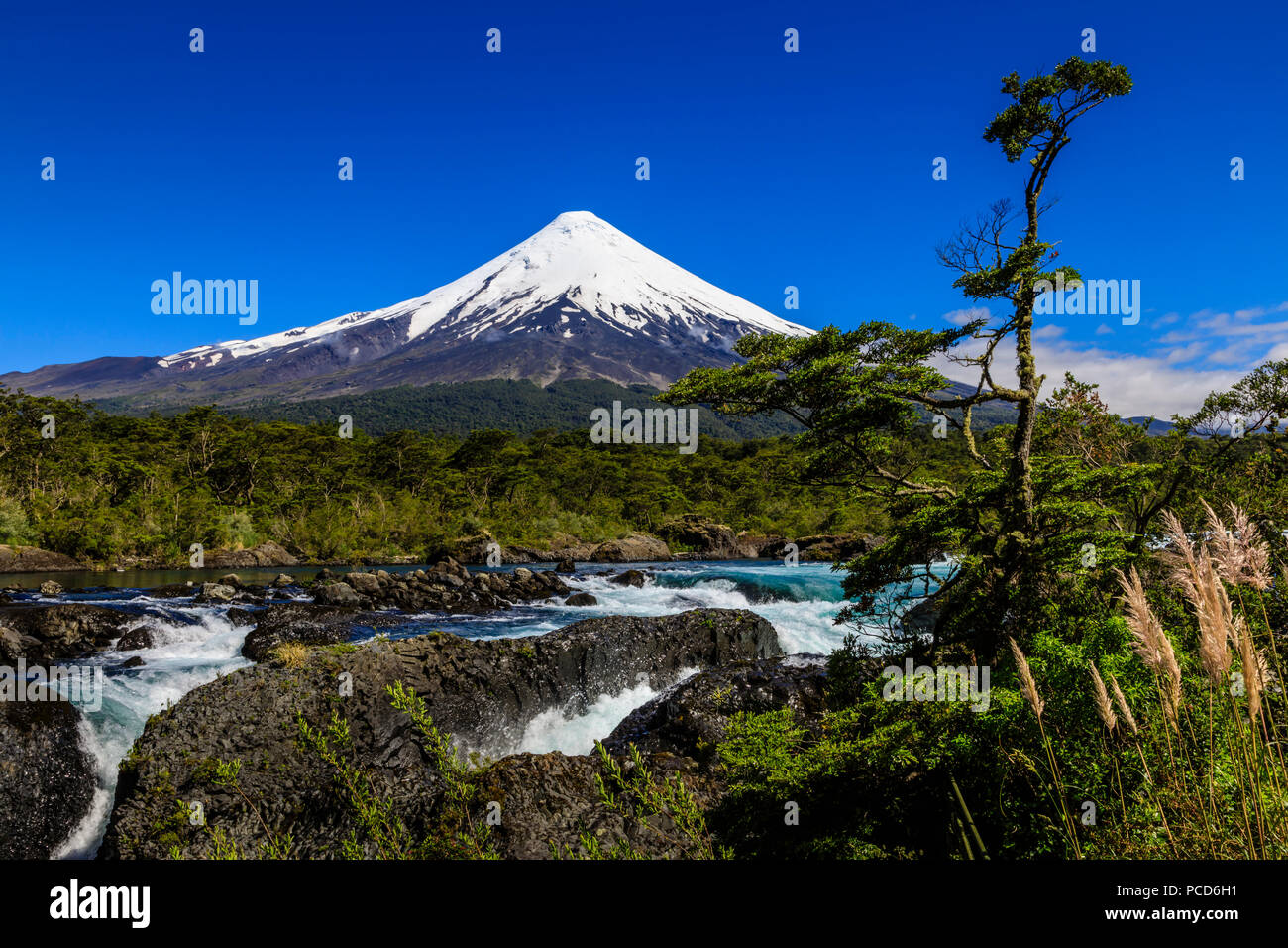 Petrohue rapids, snow-capped, conica del vulcano di Osorno, parco nazionale di Vicente Perez Rosales, la molla, il distretto dei laghi, Cile, Sud America Foto Stock