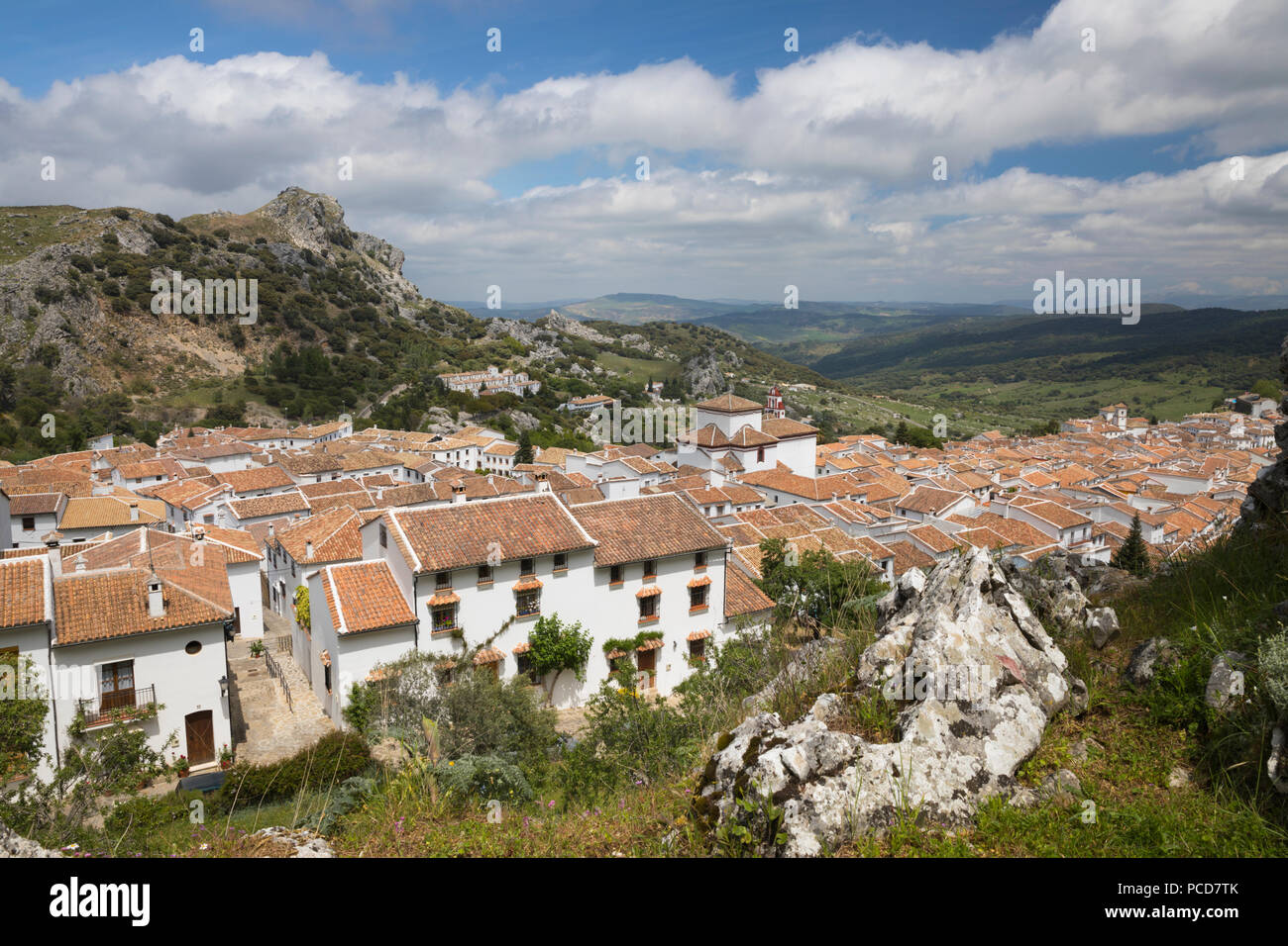 Vista su bianco andaluso village, Grazalema, Sierra de Grazalema parco naturale, Andalusia, Spagna, Europa Foto Stock