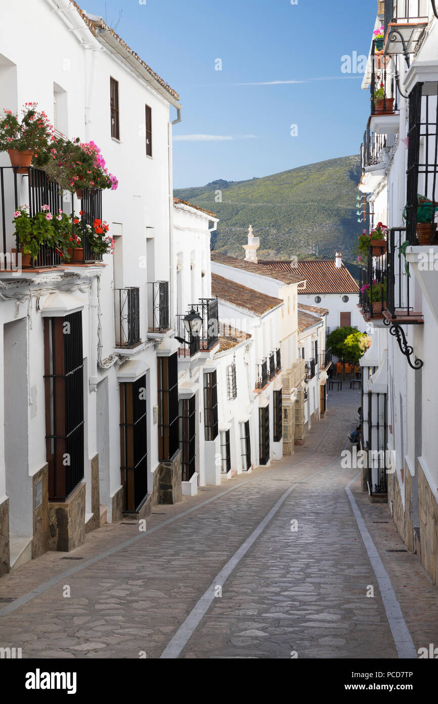 Strada stretta in bianco andaluso village, Zahara de la Sierra, Sierra de Grazalema parco naturale, Andalusia, Spagna, Europa Foto Stock