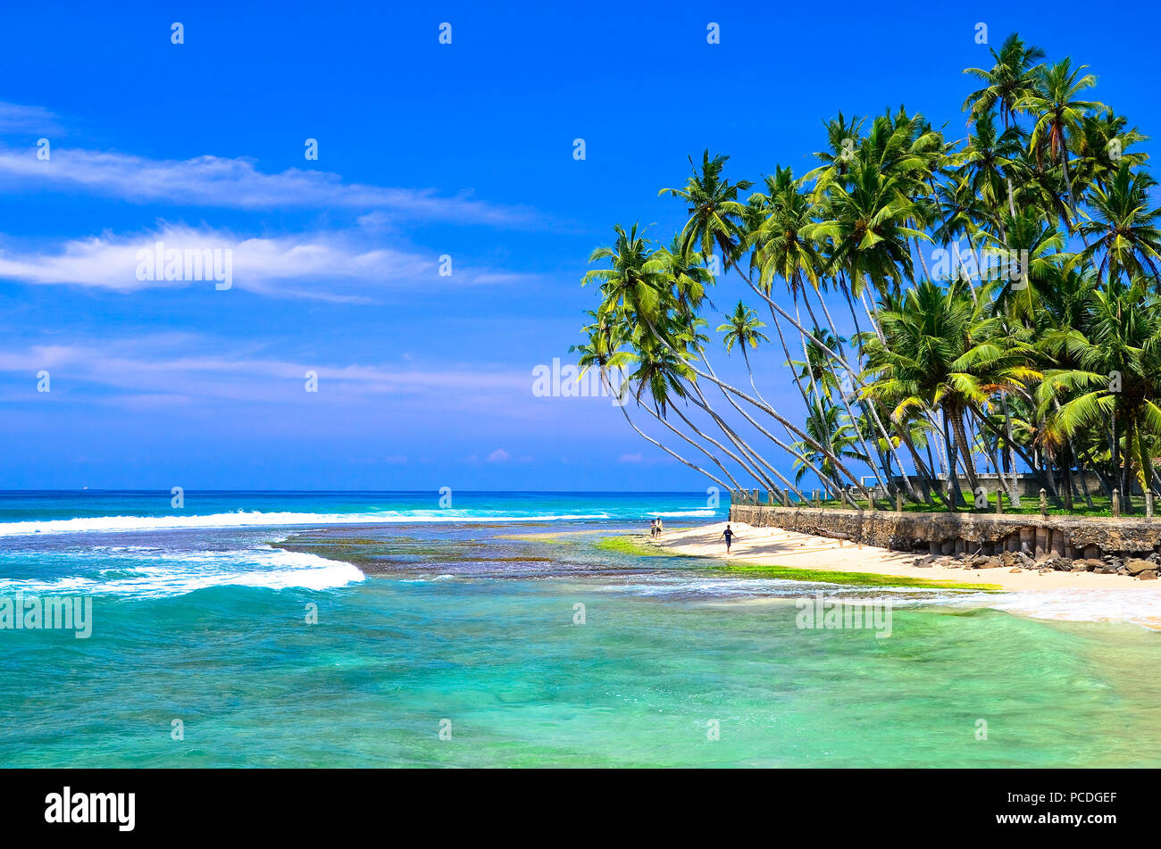 Bellissima spiaggia paesaggio in Sri Lanka Foto Stock