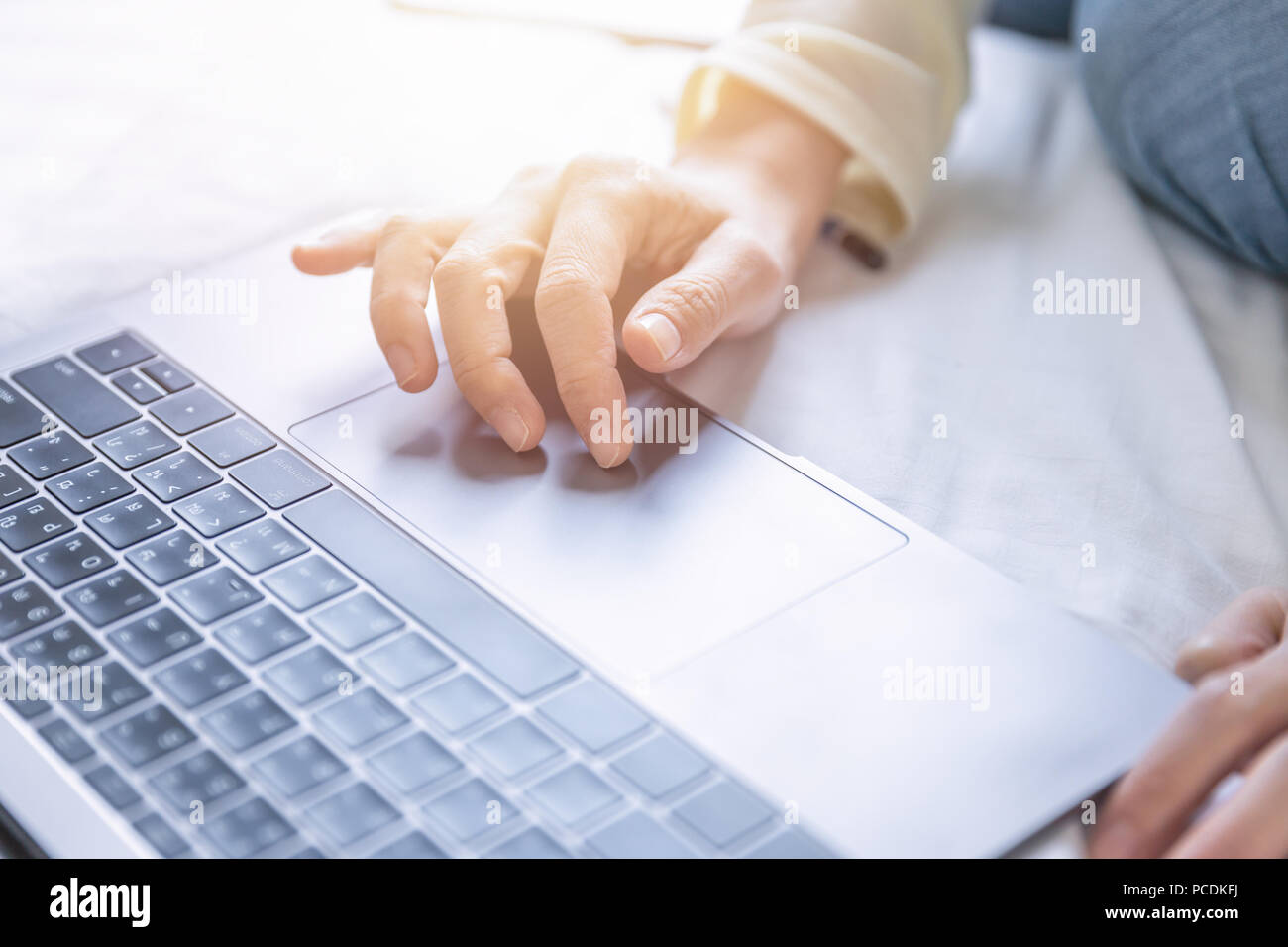 Scena morbida da donna a mano i dati di ricerca su Internet dal computer portatile presso l'ufficio domestico. Foto Stock