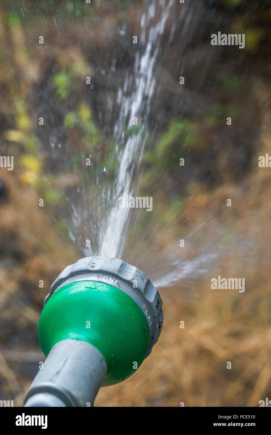 Giardino tubo flessibile pistola a spruzzo - come metafora per 2018 ondata di caldo e siccità NEL REGNO UNITO, e il tubo flessibile di divieto. Giardino di irrigazione concetto, caldo secco in estate. Foto Stock