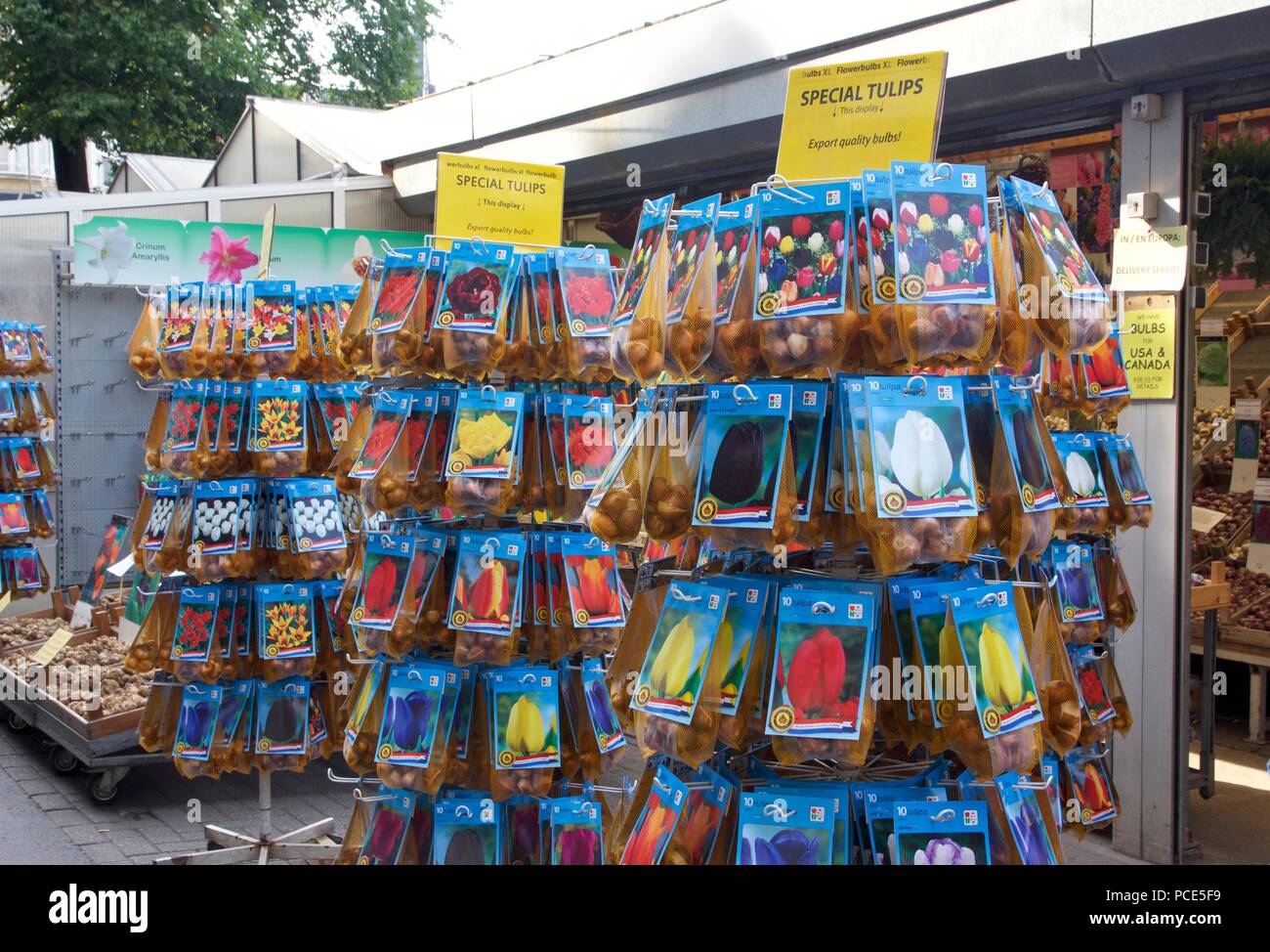 Bloemenmarkt è un mercato dei fiori di Amsterdam che in gran parte vende tulipani Olandesi e bulbi di tulipani Foto Stock