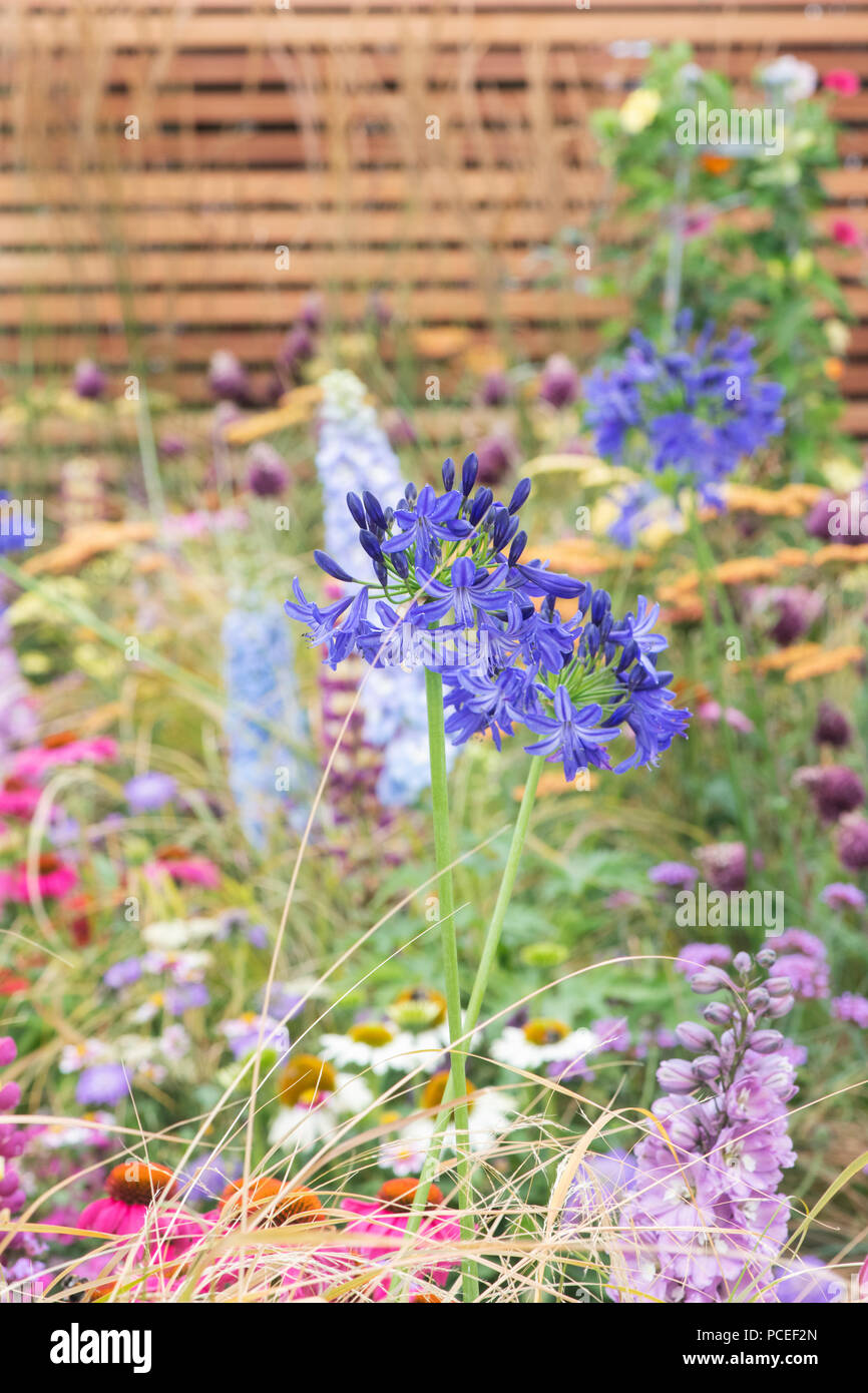 Un percorso per il futuro mostrano dettagli giardino ad RHS Tatton Park flower show 2018, Cheshire, Regno Unito Foto Stock