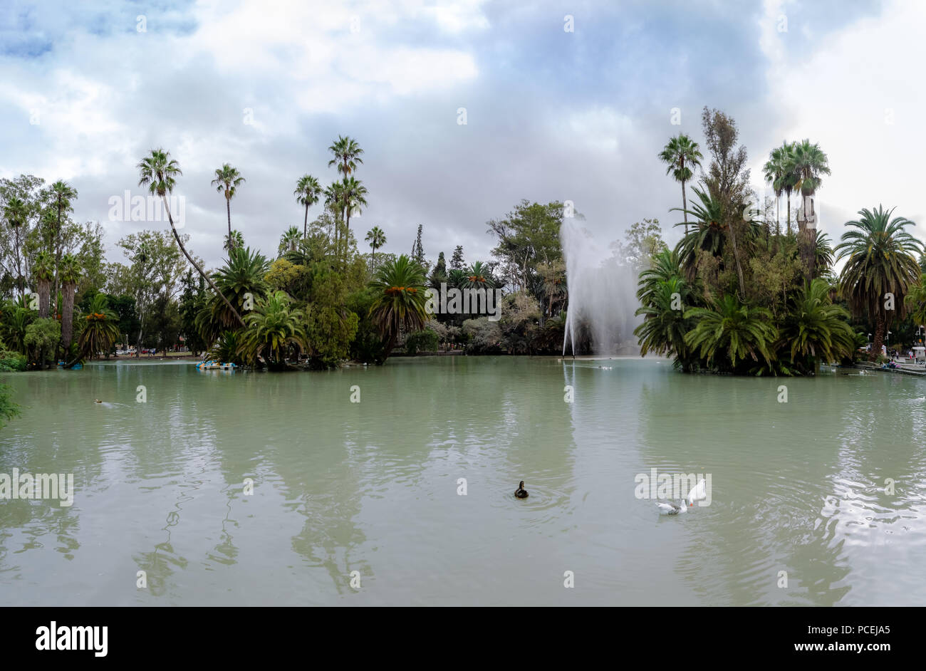 San Martin Parco Lago - Salta Argentina Foto Stock