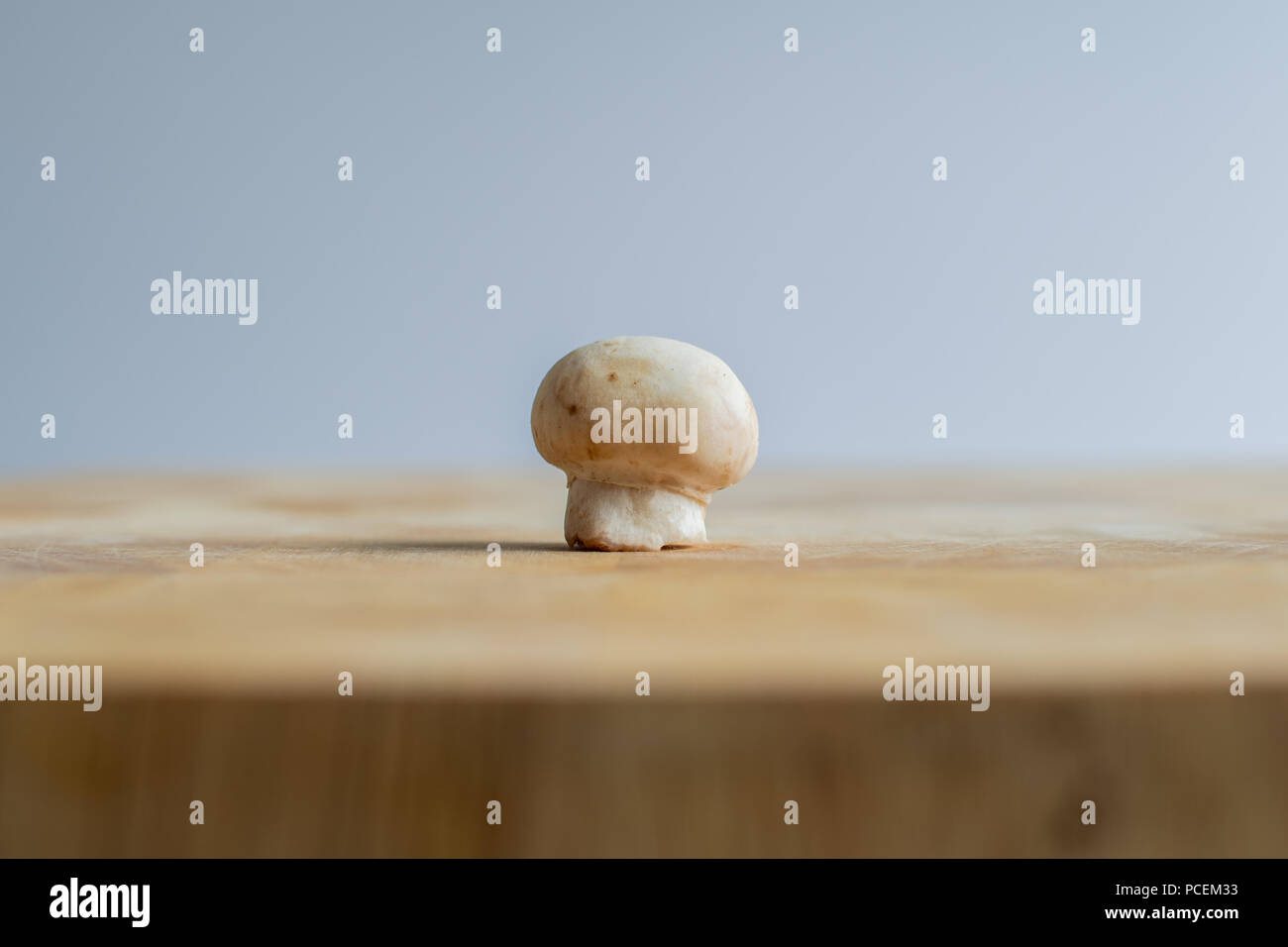 Fungo singolo su di un tagliere in primo piano Foto Stock