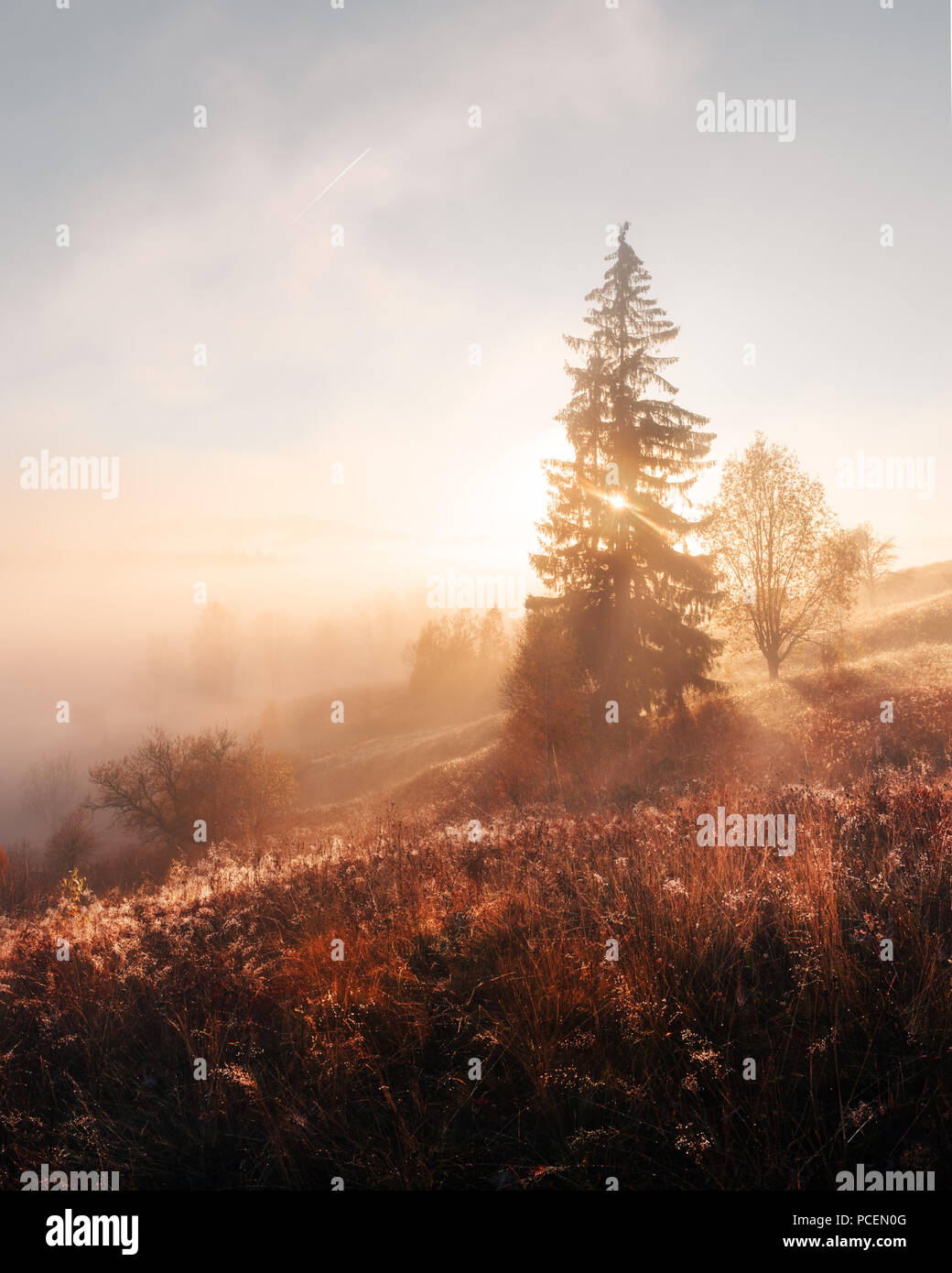 Scena spettacolare sulle montagne di autunno Foto Stock