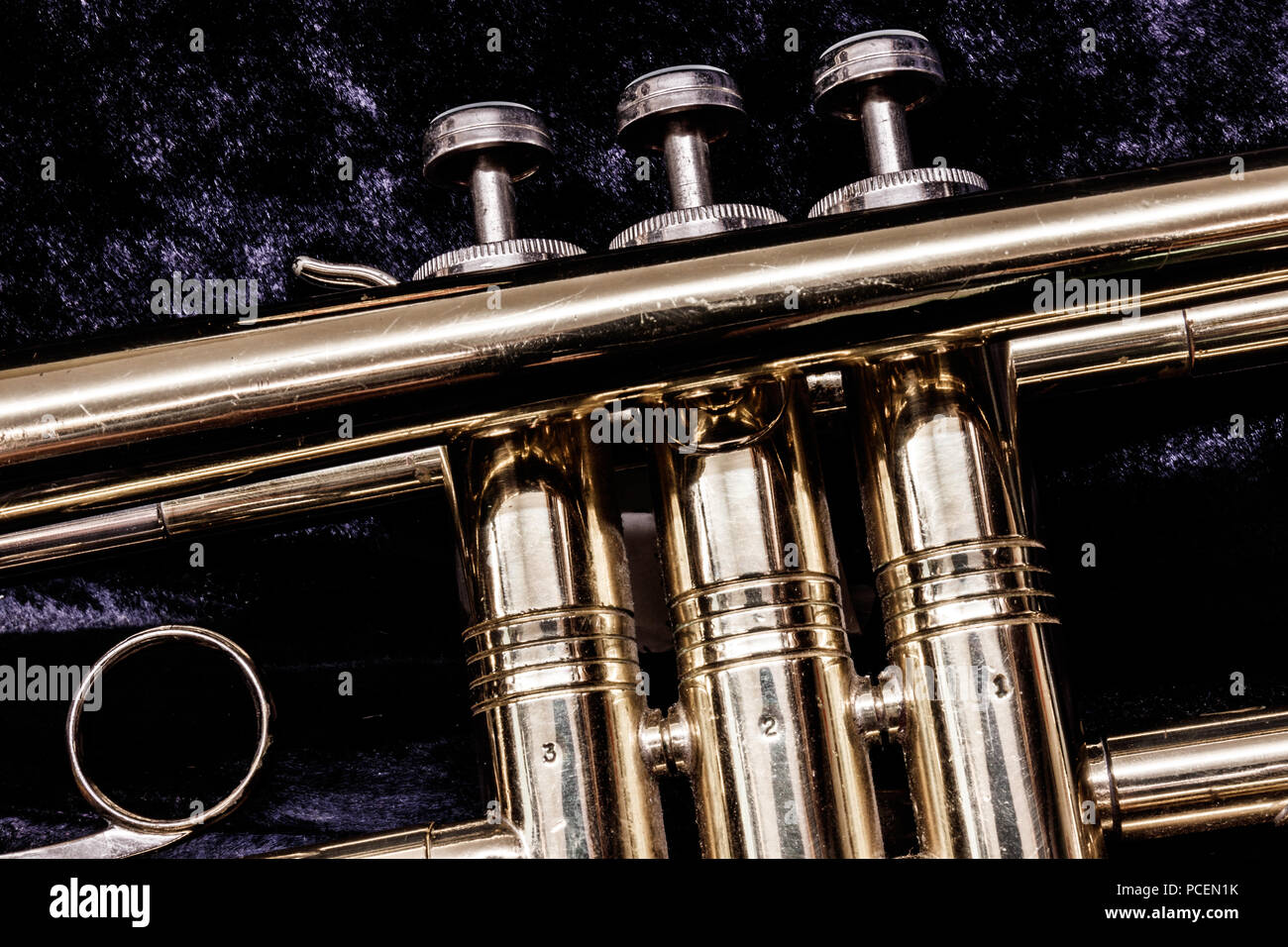 Valvole a campana Closeup contro il feltro viola sfondo ho Foto Stock