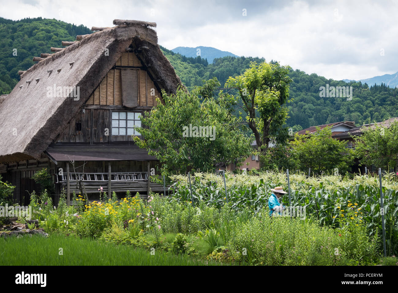 I villaggi storici di Shirakawa-go, un sito patrimonio mondiale dell'UNESCO, in Giappone centrale Foto Stock