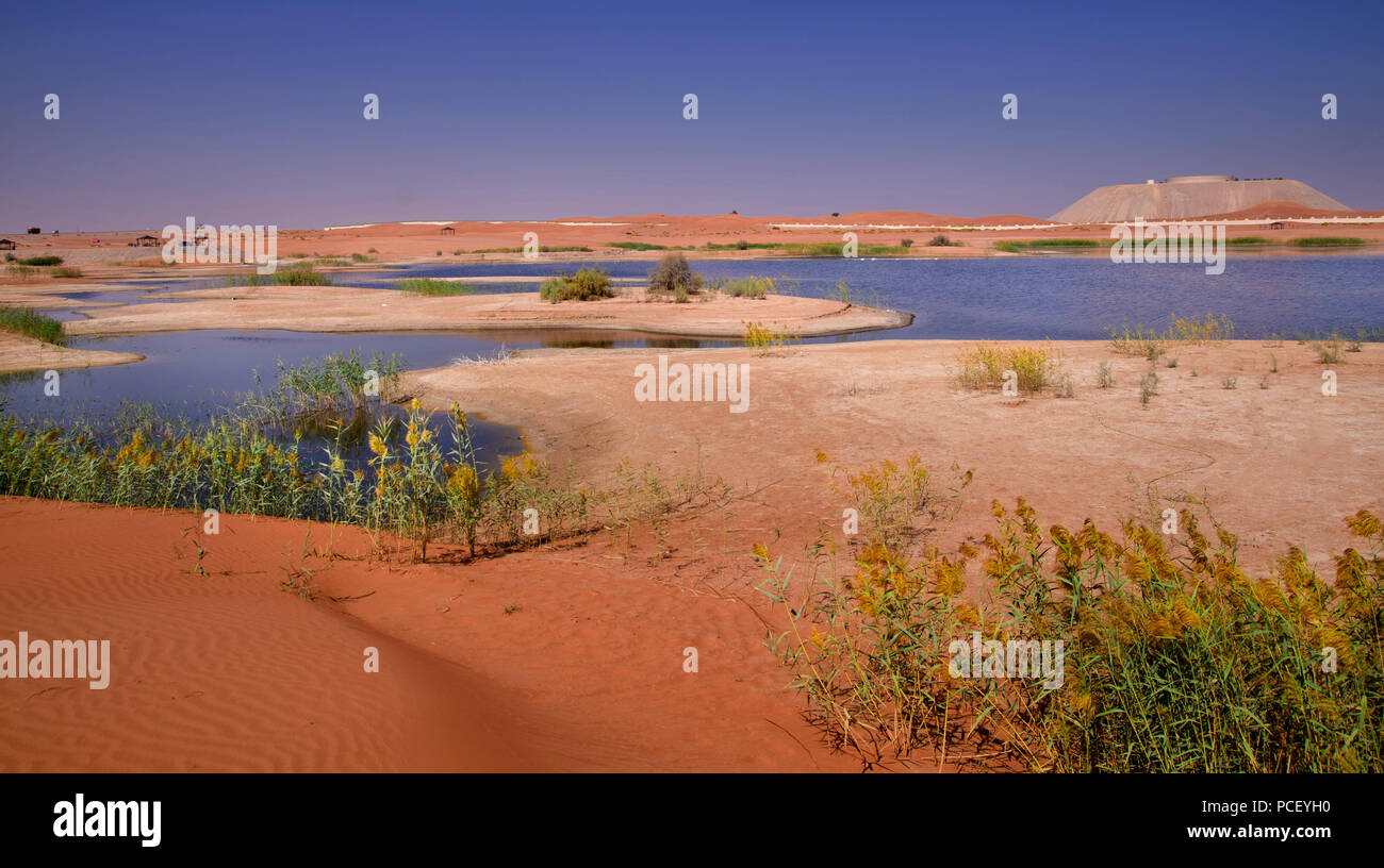 Lago Zakher è fatta dall'uomo e divenne un sicuro rifugio per gli uccelli migratori Foto Stock