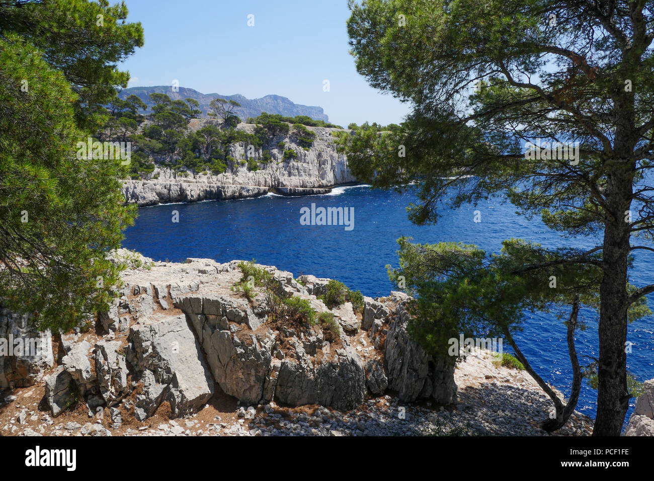 Vista di Port-Pin creek visto dalla Pointe d'En Vaux, Cassis, Bouches-du-Rhône, Francia Foto Stock