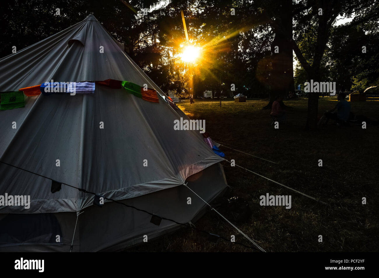 Atmosfera nella luce della sera al WOMAD giovedì 26 luglio 2017 tenutasi a Charlton Park, Wiltshire . Nella foto: passeggiate attraverso i boschi di sera. Foto Stock