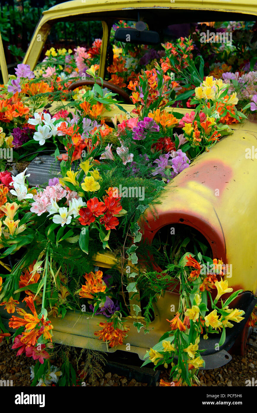 Blumengeschmuecktes altes Auto, Hampton Court Flower Show a Londra, Inghilterra, Europa, Blumenschau, Gartenbauaustellung Foto Stock