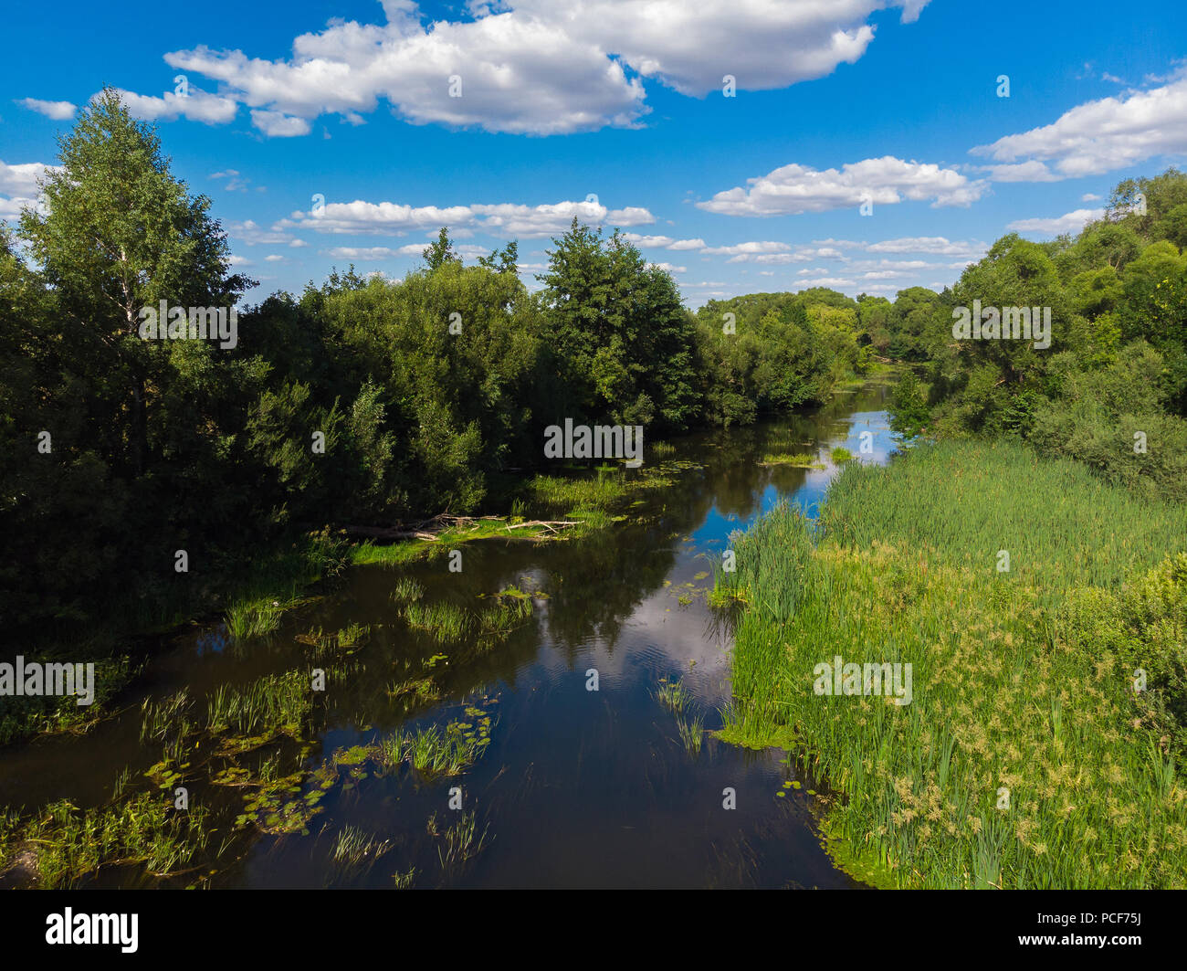 Estate paesaggio con fiume in Russia Foto Stock