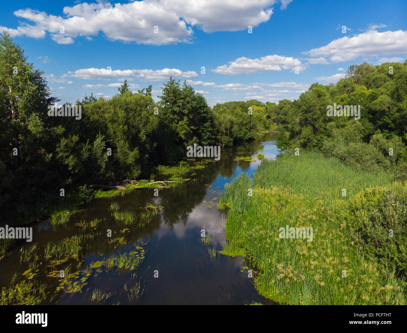 Estate paesaggio con fiume in Russia Foto Stock