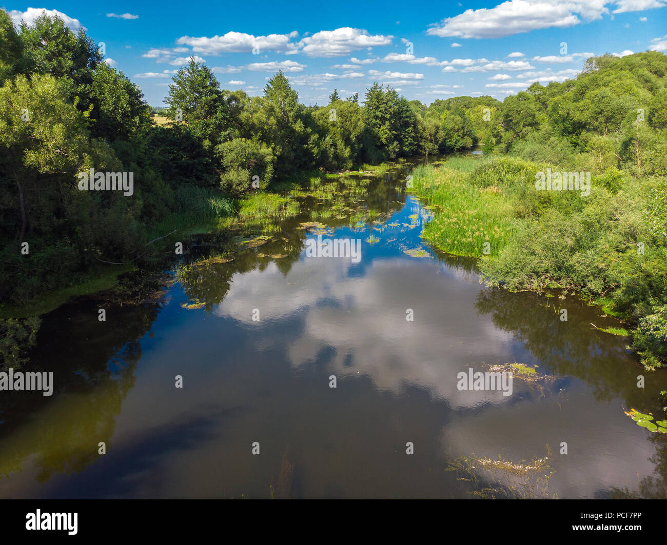 Estate paesaggio con fiume in Russia Foto Stock