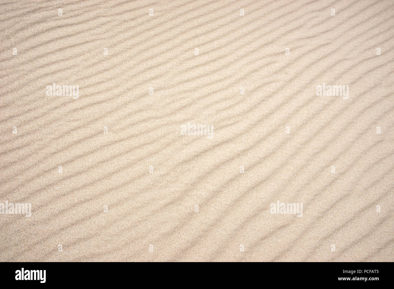 Immagine di sfondo, strutture d'onda la luminosa spiaggia di sabbia sul mare del nord Isola Norderney, Frisia orientale, Bassa Sassonia, Germania Foto Stock