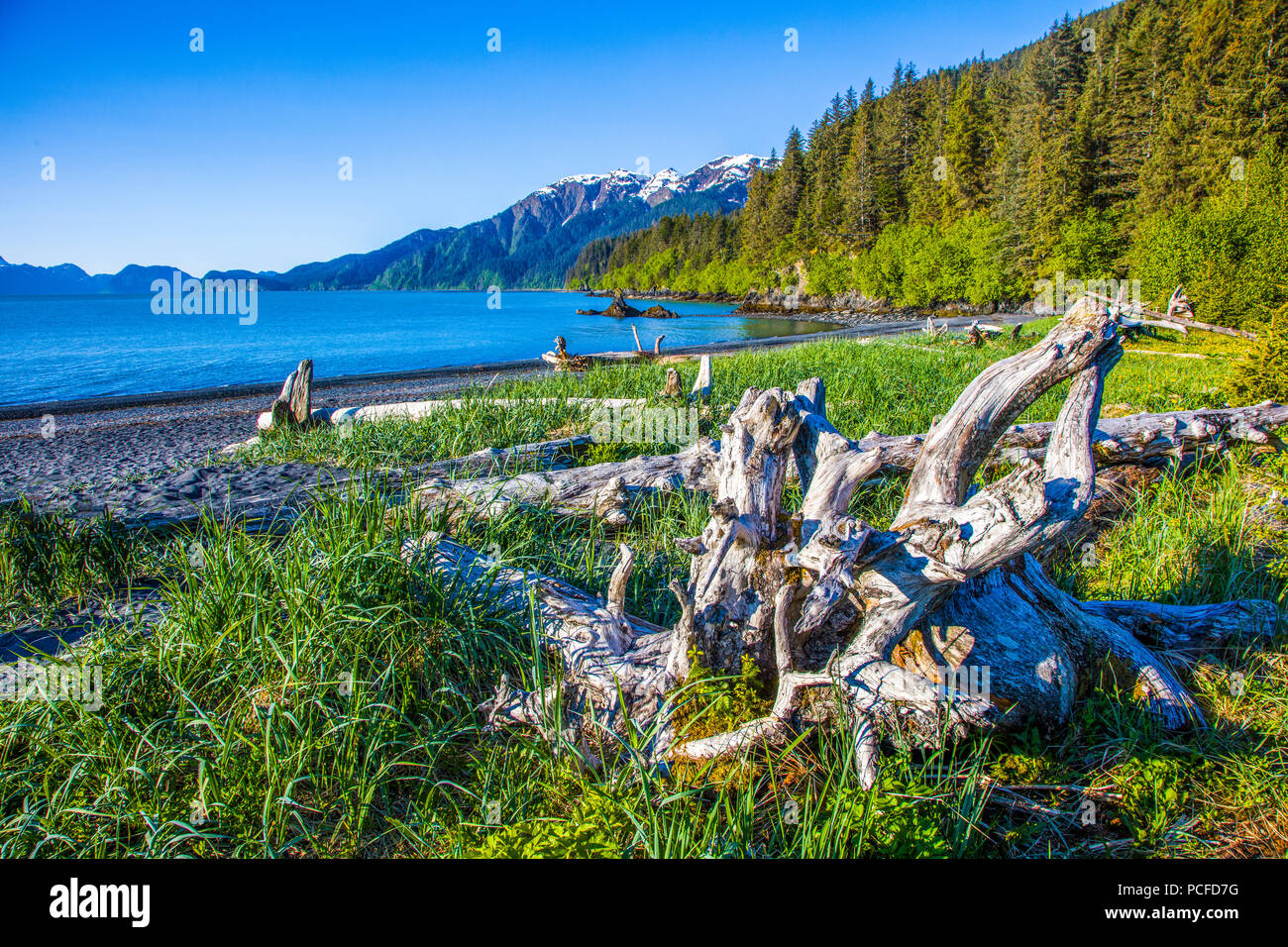 Lowell punto sulla risurrezione Bay in Kenya e penisola di Seward Alaska Foto Stock