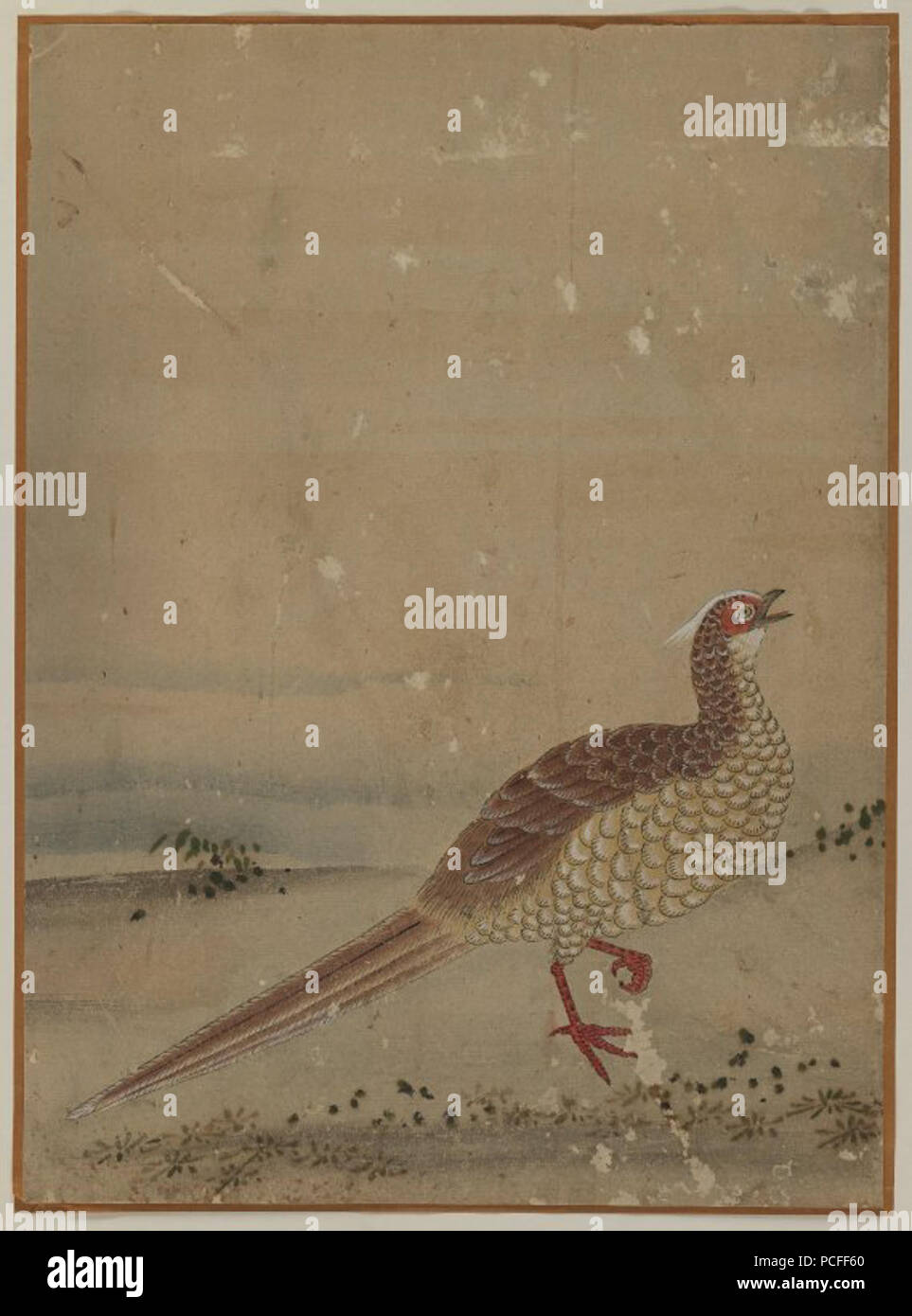 100 Brooklyn Museum - Fagiano cinese Album Leaf Pittura Foto Stock