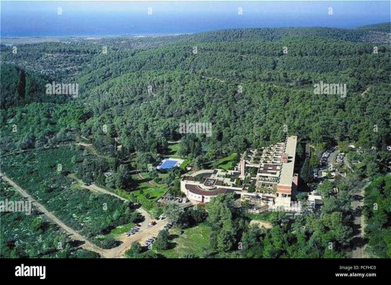 115 Carmel forest di Haifa Foto Stock