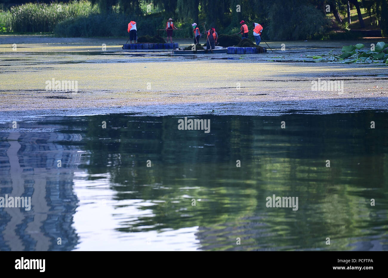 Shenyan, Shenyan, Cina. 2 agosto, 2018. Shenyang, Cina-lavoratori clean up waterweeds lungo un canale di Shenyang, a nord-est della Cina di Provincia di Liaoning. Credito: SIPA Asia/ZUMA filo/Alamy Live News Foto Stock