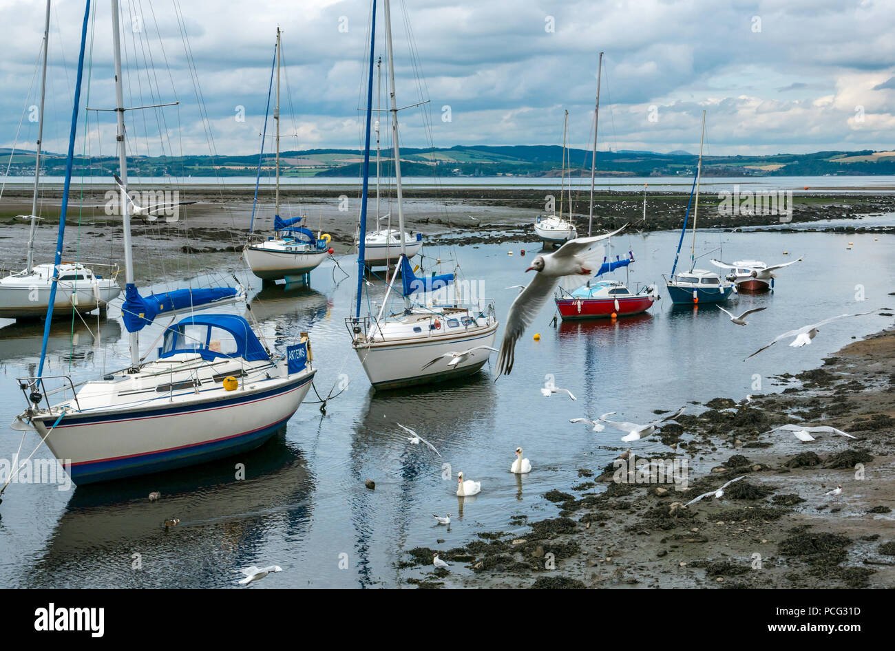 Cramond, Edimburgo, Scozia, Regno Unito, 2 agosto 2018. Regno Unito: Meteo pomeriggio di sole nel piccolo villaggio a Edimburgo di linea costiera con barche a vela ormeggiata in estuario del fiume, uccelli marini e una coppia di cigni nuotare nel fiume Foto Stock