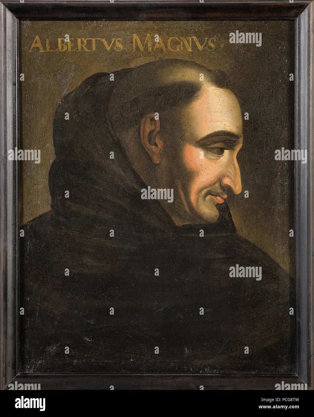 3 Albertus, 1193-1280 - Nationalmuseum - 39608 Foto Stock