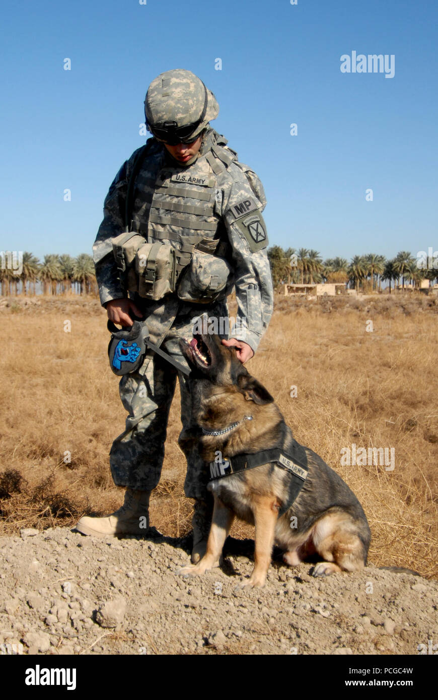 Stati Uniti Army Spc. Joaquin Mello dal 2° plotone, Charlie Company, 1° Battaglione, 2° Reggimento di Fanteria, 172nd della brigata di fanteria e Sgt. Bodo, una polizia militare cane, conferire durante il gioco sul ciglio della strada principale sul percorso di alimentazione Tampa vicino a inoltrare una base operativa Kalsu, Iraq, il 29 dicembre 2008. Foto Stock