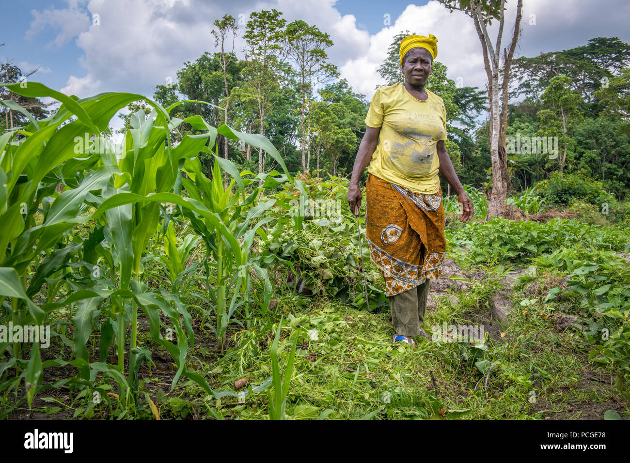 Una donna pone per la telecamera fra produrre nella fattoria di Ganta, Liberia Foto Stock