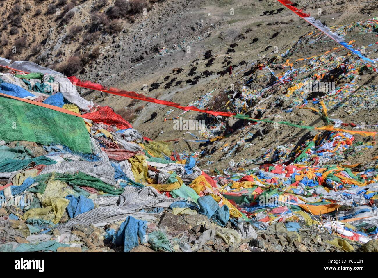 Preghiera tibetano bandiere rettangolari colorate vestiti, utilizzare per benedire la campagna circostante, al vento, allevamento di yak in background. Foto Stock