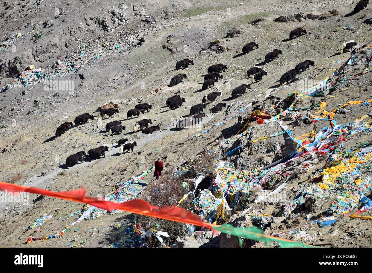 Preghiera tibetano bandiere rettangolari colorate vestiti, utilizzare per benedire la campagna circostante, al vento, allevamento di yak in background. Foto Stock