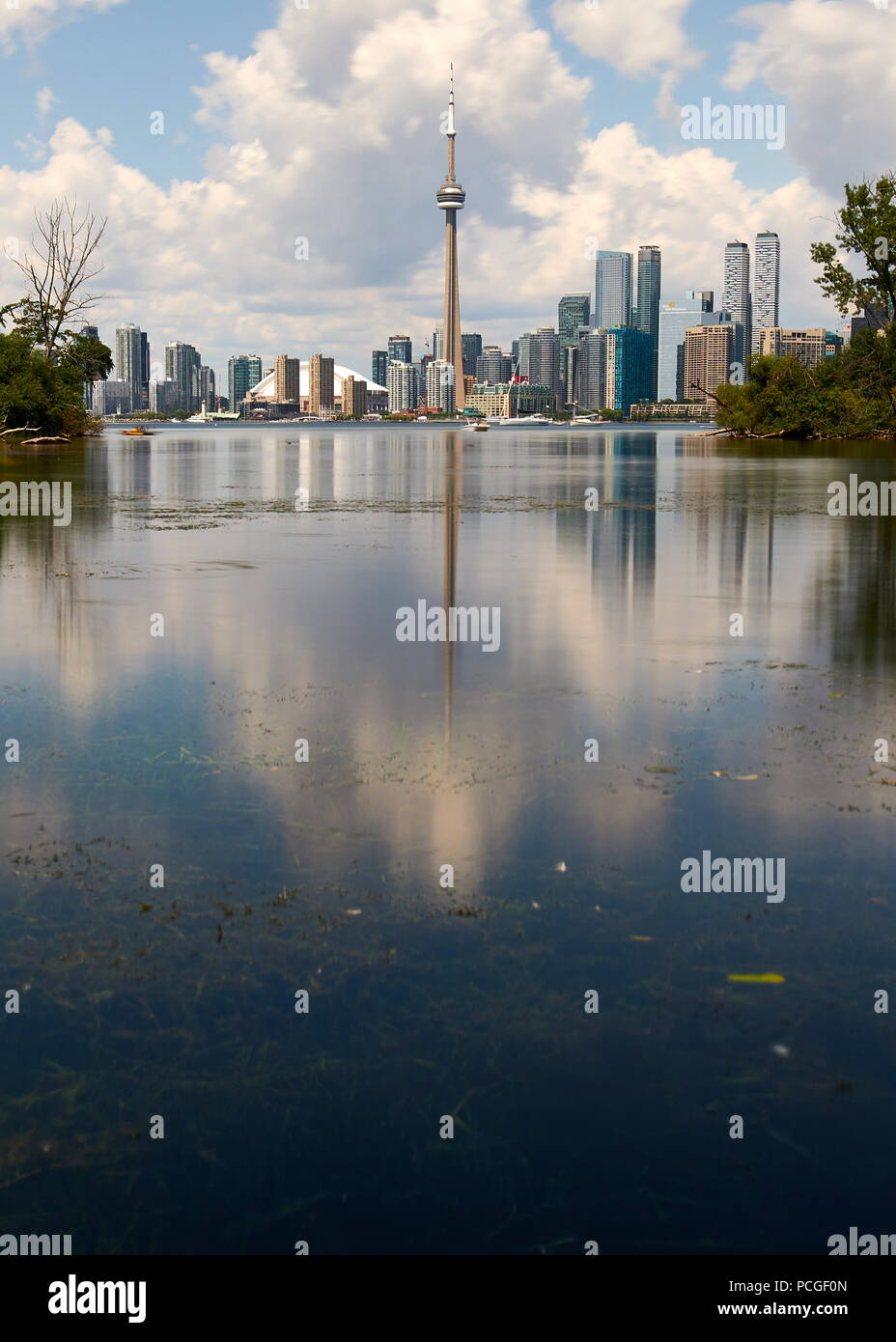 Giorno umido sulle isole vicino a Toronto Foto Stock