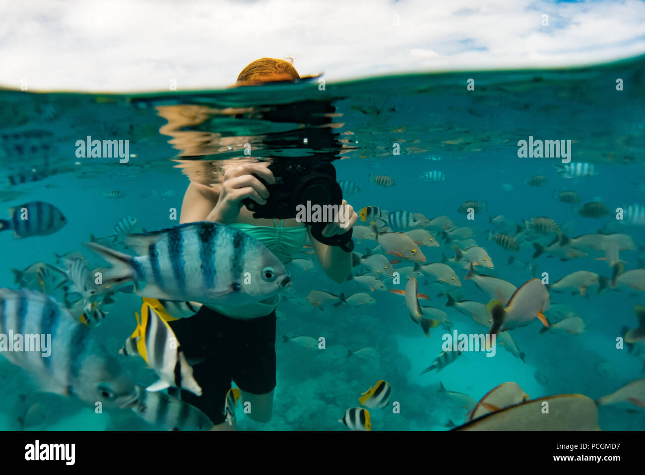 L'abbondanza di pesce mentre lo snorkeling presso l'acquario in Rangiroa Atoll in Tuamotus della Polinesia Francese Foto Stock