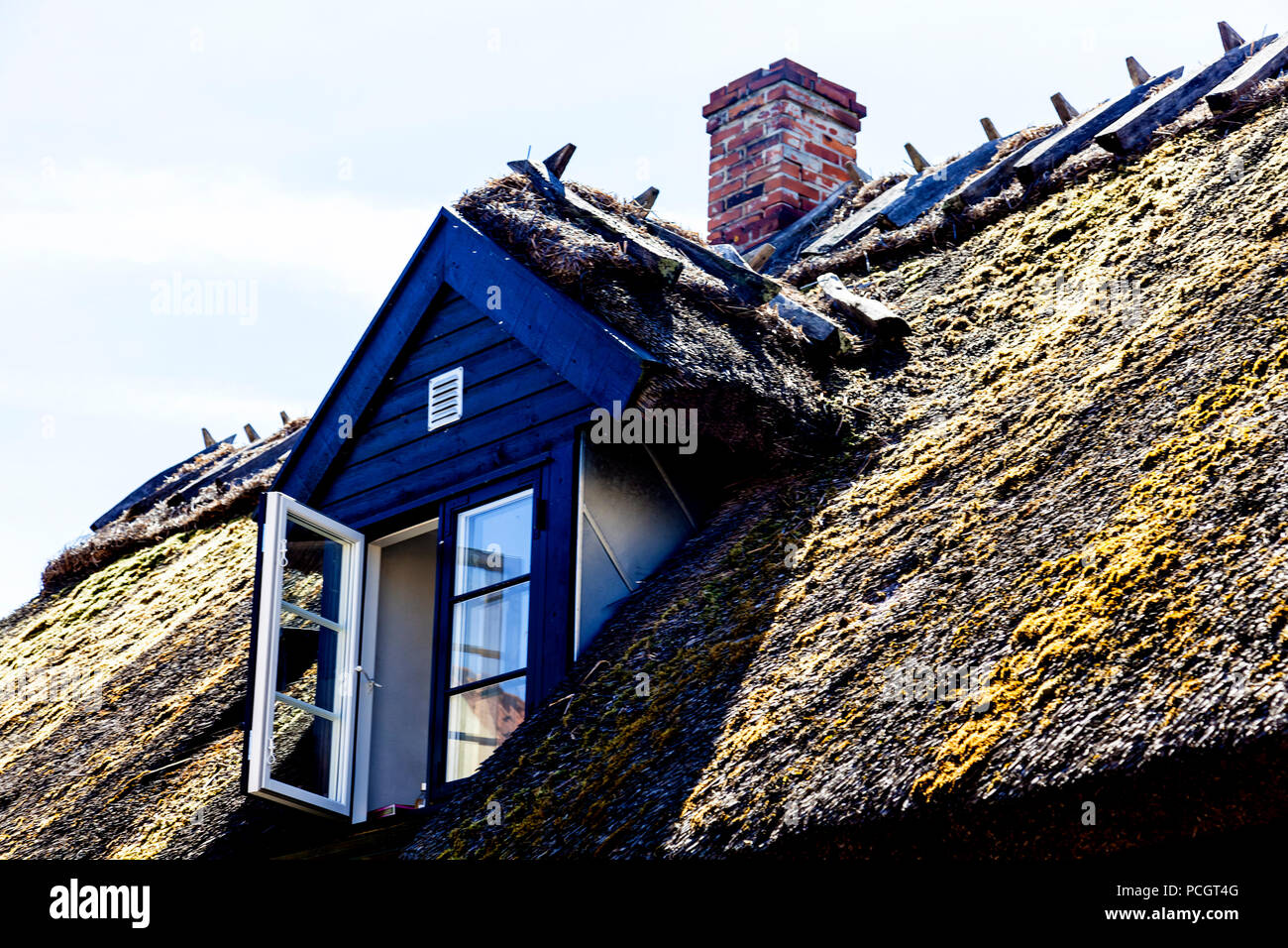 Tradizionale tetto in paglia su edificio storico a Dragør villaggio di pescatori che si trova vicino a Copenhagen in Danimarca Foto Stock